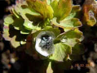 047.webp