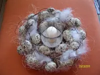 ALIM3056.webp