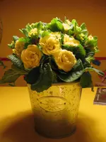 IMG_1528.webp