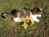 014.webp