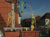 DSCF2527.webp