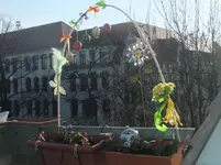 DSCF2528.webp