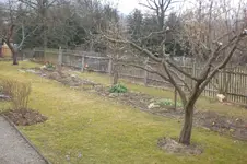März 1 2011 004.webp