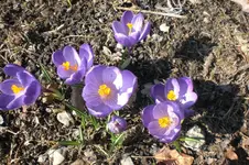März 1 2011 007.webp