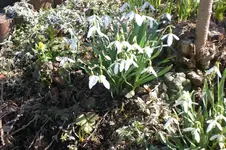 März 1 2011 008.webp