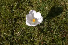 März 1 2011 009.webp