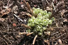 März 1 2011 013.webp