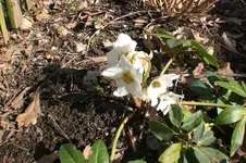 März 1 2011 016.webp