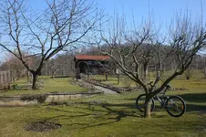 März 1 2011 019.webp