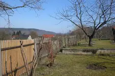 März 1 2011 020.webp