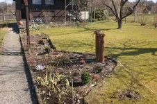 März 1 2011 022.webp