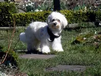 SDC13134-1.webp