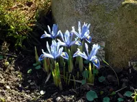 SDC13143.webp