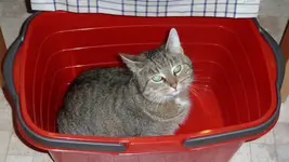 Zwischenablage05.webp