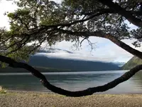Lake Rotoiti.webp