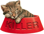 katzen-208.gif