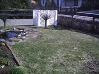 Wiese.webp