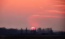 49859420.webp