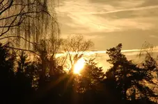 DSC_7884.webp