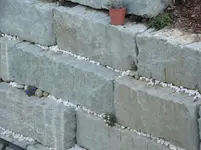 DSC01336.webp