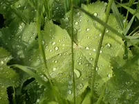 HPIM9000.webp