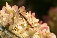 IMG_7355.webp