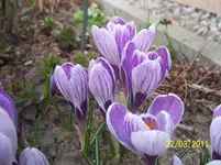 100_2755.webp