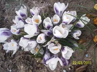 100_2757.webp