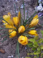 100_2758.webp