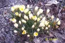 100_2766.webp
