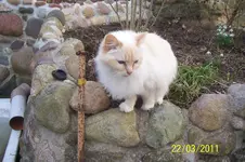 100_2763.webp