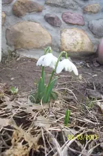 100_2764.webp