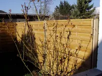 Garten 2011 03 23 018.webp