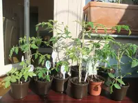 DSCF2541.webp