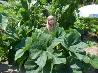 P1020126.webp