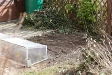 garten1.webp