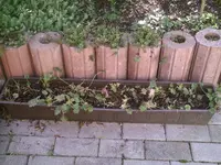 Heucherakasten.webp