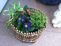 DSCF5041.webp