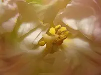 march 2011 544.webp