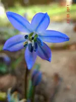 057.webp
