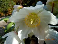 019.webp
