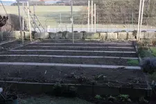 Gemüsegarten.webp