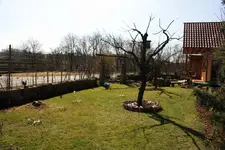 Garten.webp