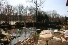 Teich (2).webp