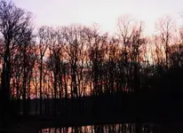 Abendrot 23.03.2011.webp
