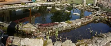 Teich.webp