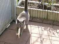 DSCF5044.webp