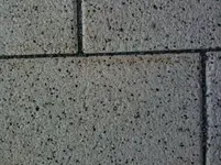 IMG_0017.webp