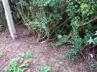 DSCF3584.webp