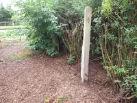 DSCF3585.webp